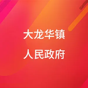 大龙华镇人民政府