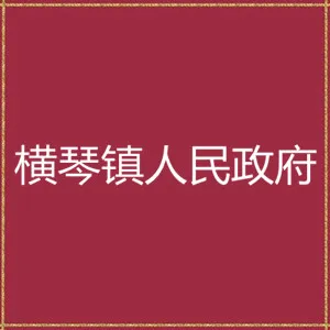 横琴镇人民政府