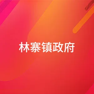 和平县林寨镇人民政府