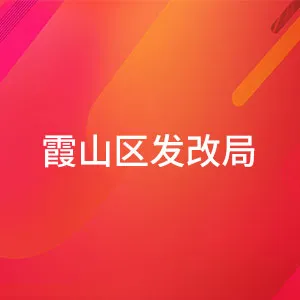 湛江市霞山区发展和改革局