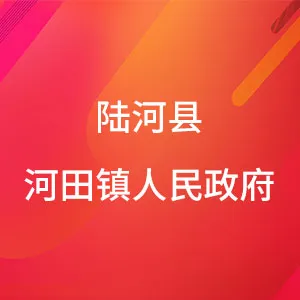 陆河县河田镇人民政府