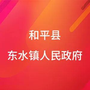 和平县东水镇人民政府