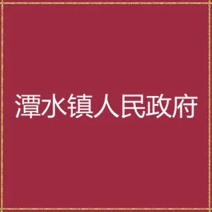 潭水镇团委