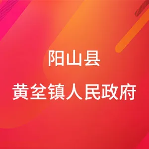 阳山县黄坌镇人民政府