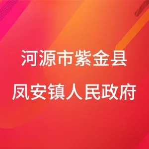 河源市紫金县凤安镇人民政府