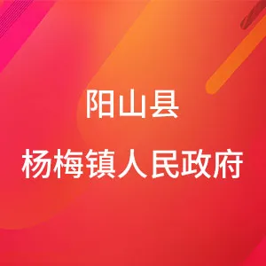 阳山县杨梅镇人民政府