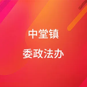 中堂镇委政法办