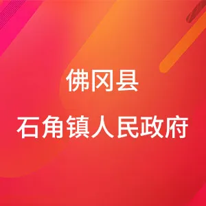 佛冈县石角镇人民政府
