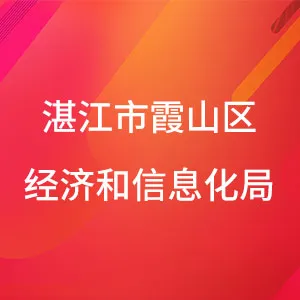 湛江市霞山区经济和信息化局