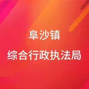 阜沙镇综合行政执法局