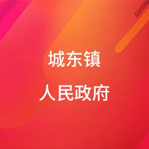 城东镇人民政府