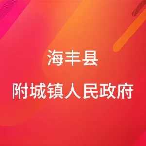 海丰县附城镇人民政府