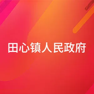 田心镇人民政府