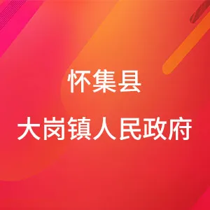 怀集县大岗镇人民政府