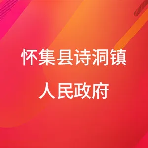 怀集县诗洞镇人民政府
