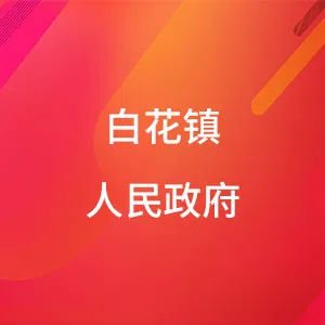 白花镇人民政府