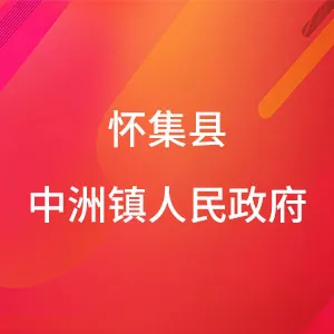 怀集县中洲镇人民政府