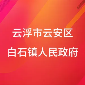云浮市云安区白石镇人民政府