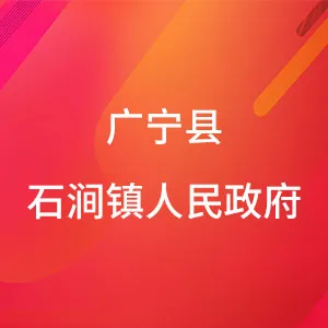 广宁县石涧镇人民政府