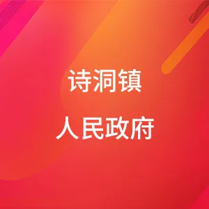 诗洞镇人民政府