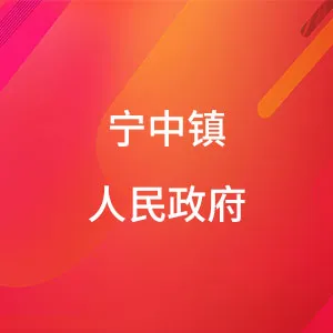 兴宁市宁中镇人民政府
