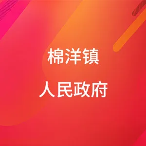棉洋镇人民政府