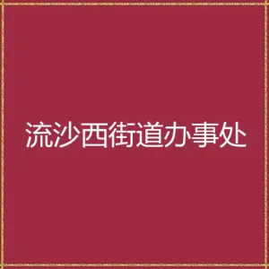 普宁市流沙西街道办事处