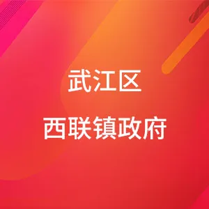 武江区西联镇政府