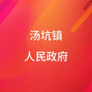 汤坑镇人民政府