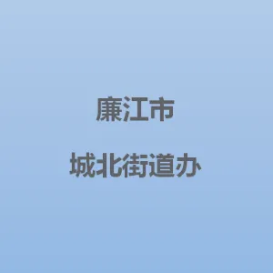 广东省廉江市城北街道办事处