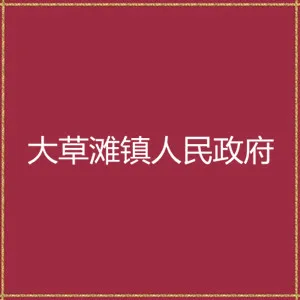 漳县大草滩镇人民政府