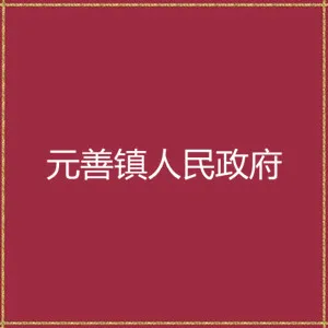 连平县元善镇人民政府