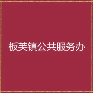 板芙镇公共服务办公室