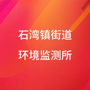 石湾镇街道环境监测所