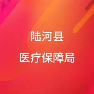 陆河县医疗保障局