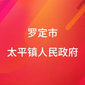 罗定市太平镇人民政府