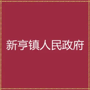 揭东区新亨镇人民政府