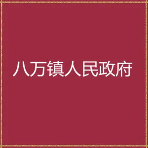 陆丰市八万镇人民政府