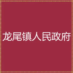 揭东区龙尾镇人民政府