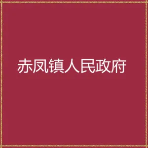 潮州市潮安区赤凤镇人民政府