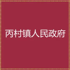 梅州市梅县区丙村镇人民政府