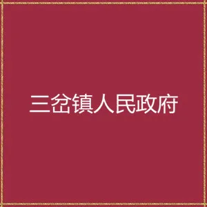 三岔镇人民政府