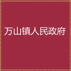 珠海市万山镇人民政府