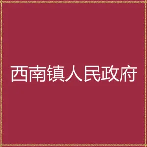 陆丰市西南镇人民政府