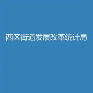 中山市西区街道发展改革和统计局