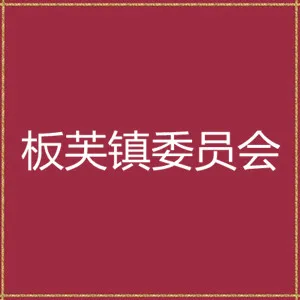 中共中山市板芙镇委员会党建工作办公室（人事办公室）