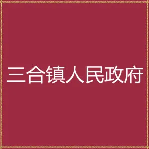 台山市三合镇人民政府