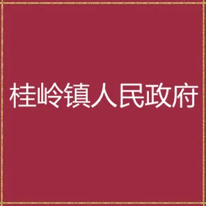 揭阳市揭东区桂岭镇人民政府
