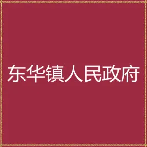 东华镇人民政府