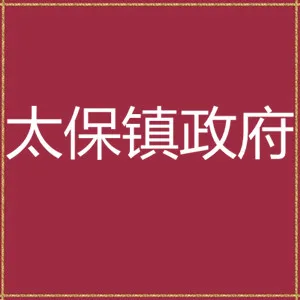 清远市连山县太保镇政府